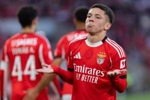 27轮不败！本菲卡3-0吉马良斯先赛暂落后榜首4分 里奥斯助攻双响