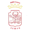 ZKF孔宏女足